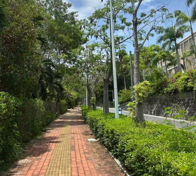 :抢救3小时后医院称“没救治经验”丨封面头条冰球突破三亚27岁女游客疑被蛇咬伤身亡 家属(图1) :抢救3小时后医院称“没救治经验”丨封面头条冰球突破三亚27岁女游客疑被蛇咬伤身亡 家属(图1)